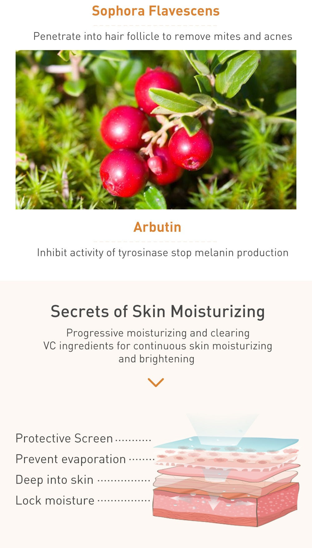 LANBENA Vitamin C Toner